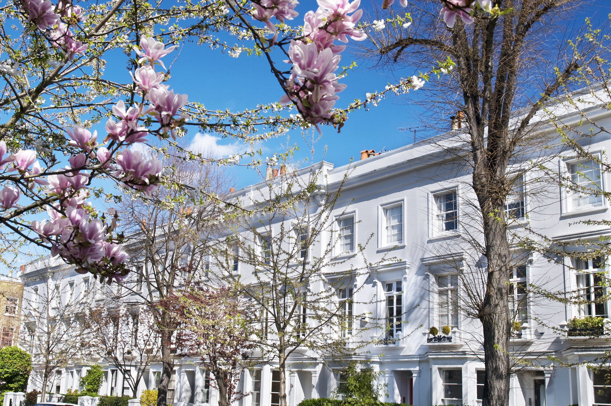 Kensington & Chelsea property management